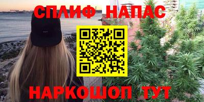 тгк Краснодар