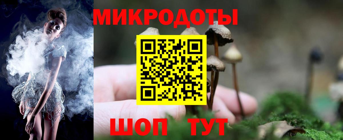 Псилоцибиновые грибы Cubensis Костомукша